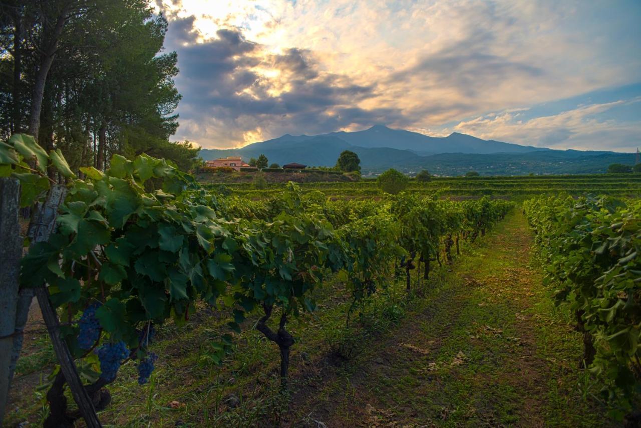 Agriturismo Tenuta San Michele Санта-Венеріна Екстер'єр фото